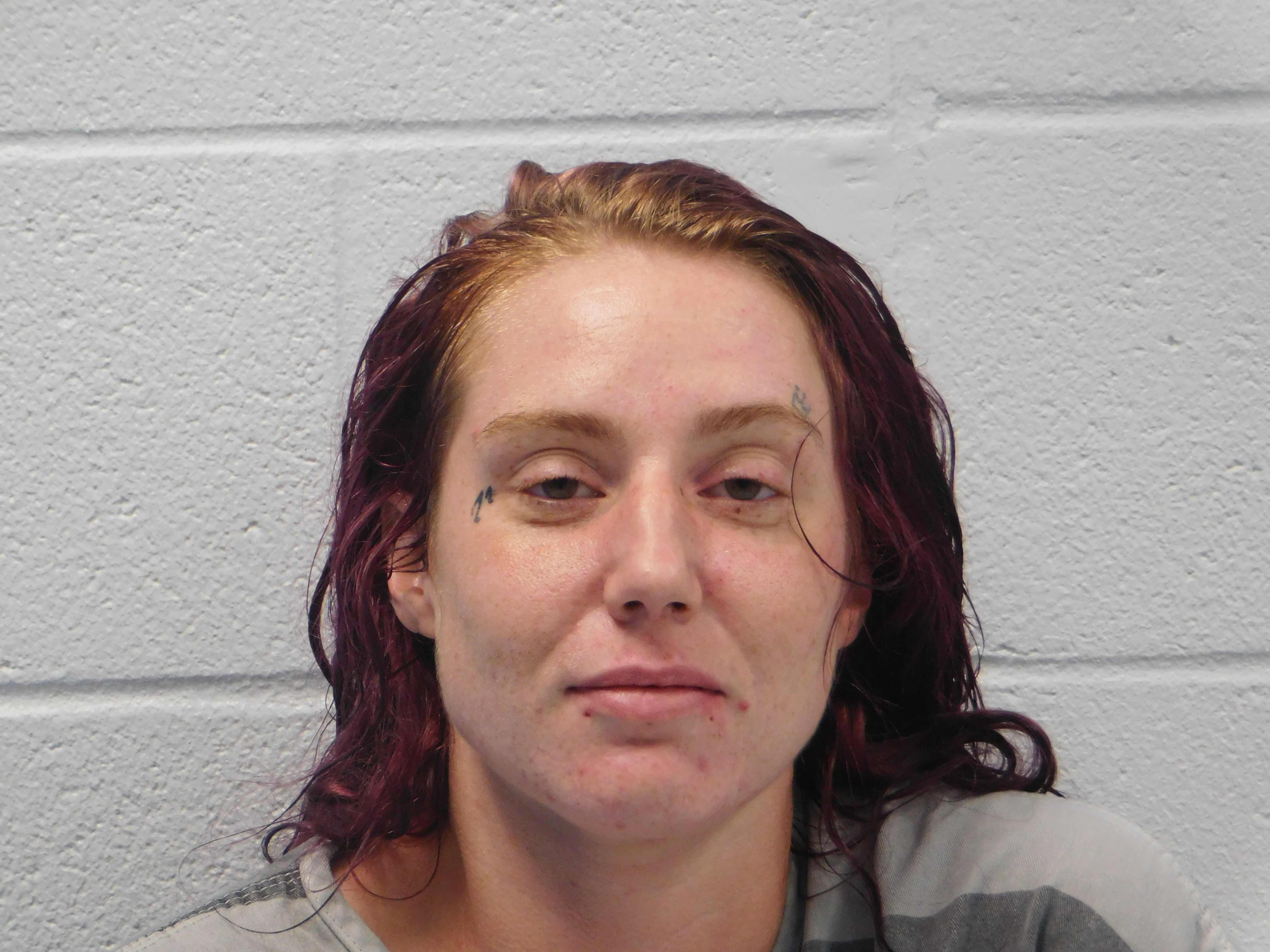 Polk County Sheriffs Office Arrest Suspect for Statutory Rape of a Child press release image